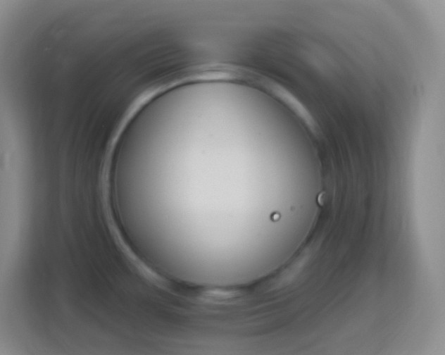 X0000113941483200910091613