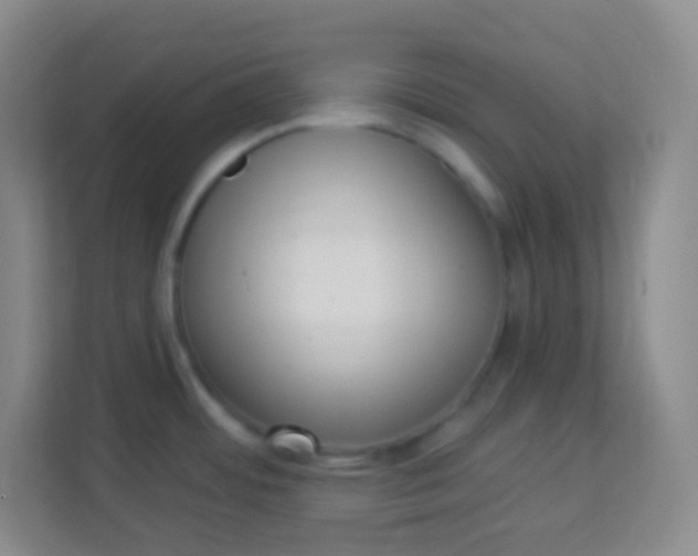 X0000113941484200910091613