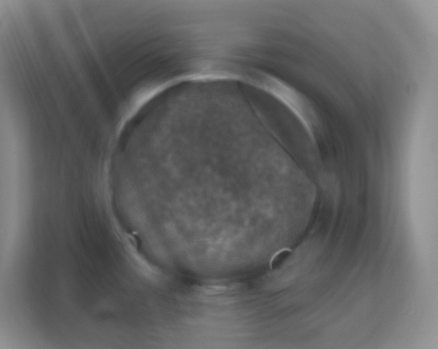 X0000113941485200910091613