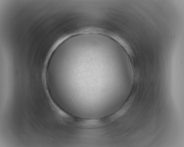 X0000113941486200910091613