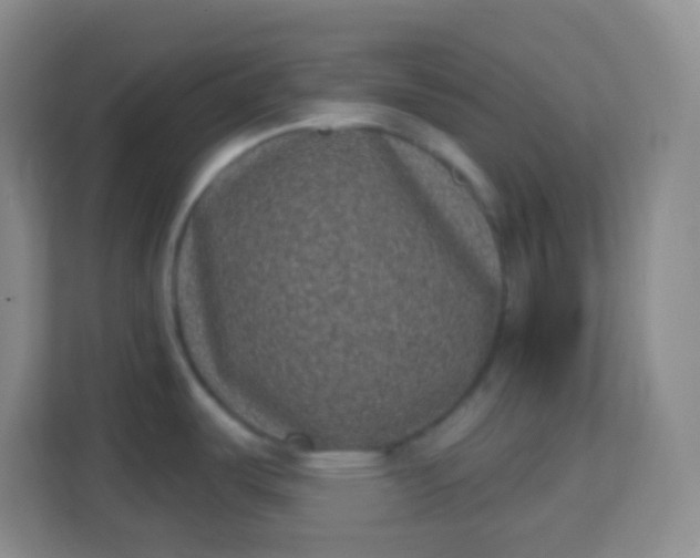 X0000113941487200910091613