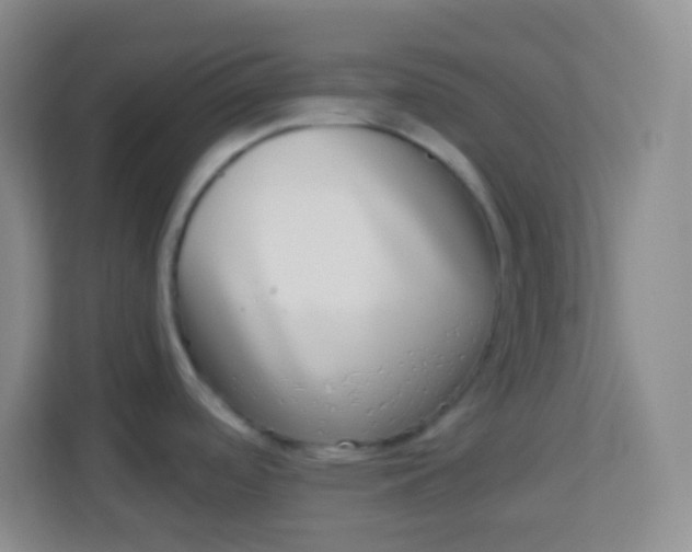 X0000113941488200910091613