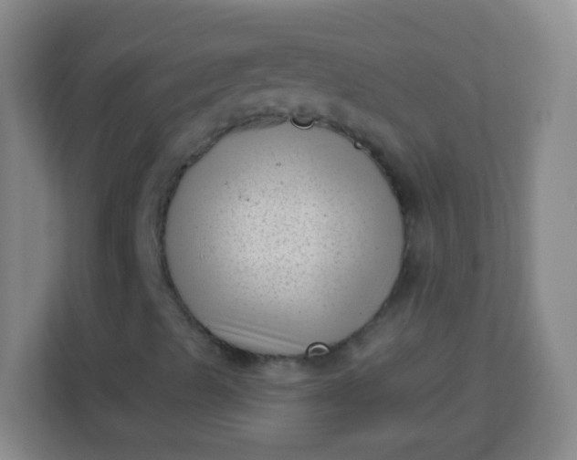 X0000113941489200910091612