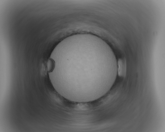 X0000113941491200910091612