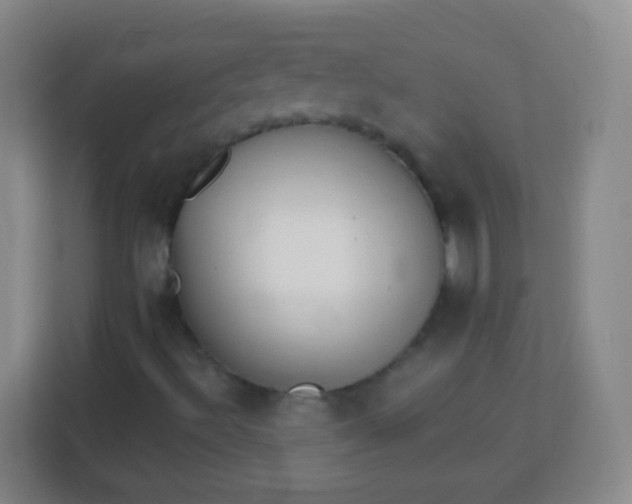 X0000113941492200910091612