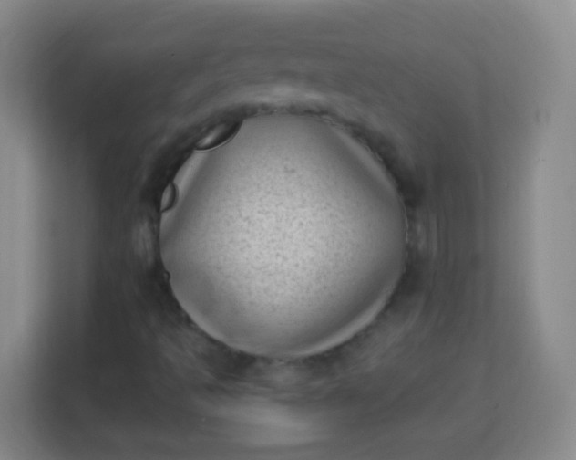 X0000113941493200910091612