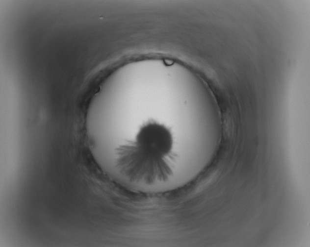 X0000113941494200910091612