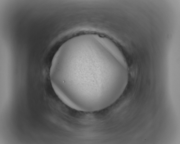 X0000113941495200910091612