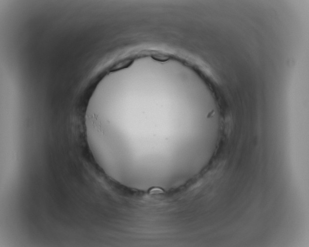 X0000113941496200910091612