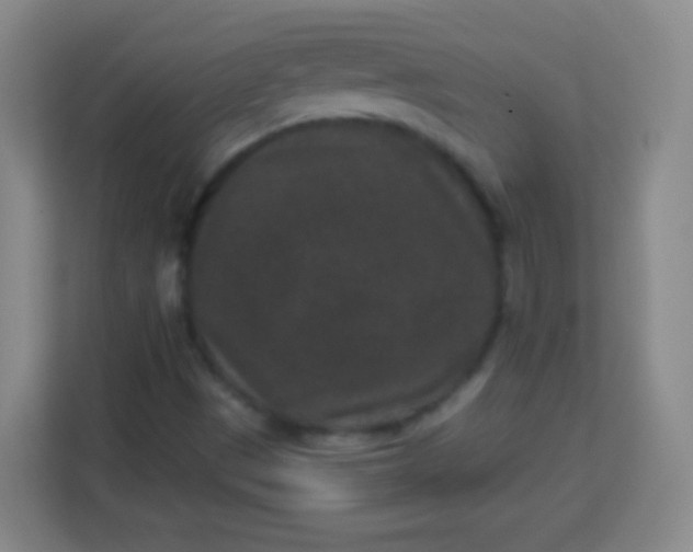 X0000113941497200910091612