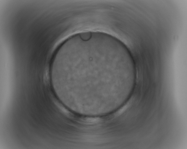 X0000113941498200910091612