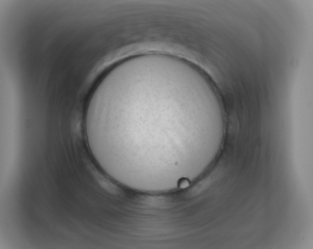 X0000113941499200910091612