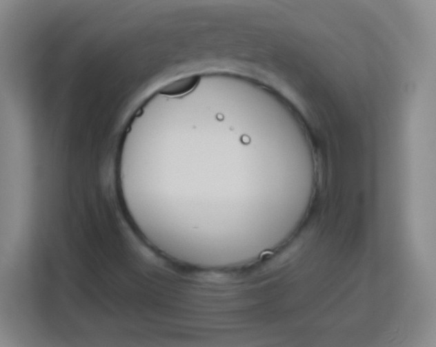 X0000113941500200910091612