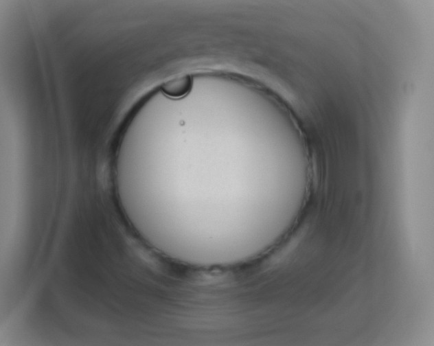 X0000113941501200910091612