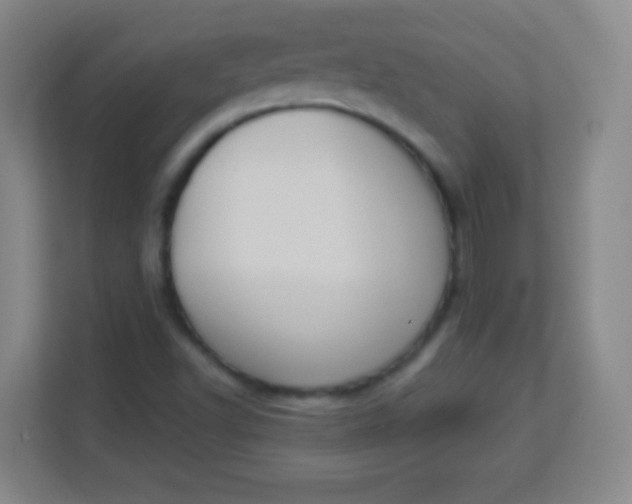 X0000113941502200910091612