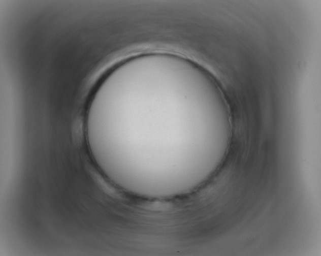 X0000113941503200910091612