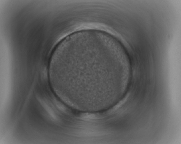 X0000113941505200910091612