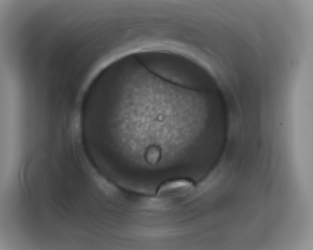 X0000113941506200910091612