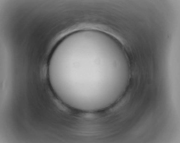 X0000113941507200910091612