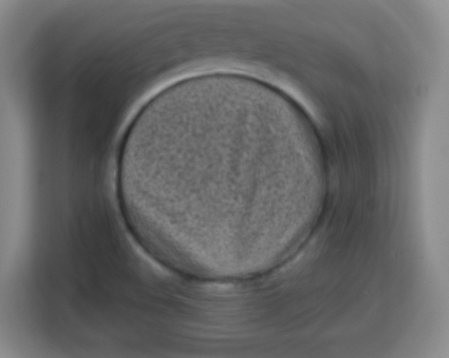 X0000113941508200910091612