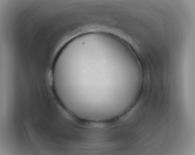 X0000113941509200910091612