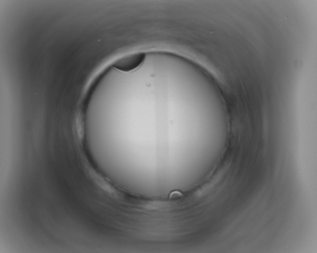 X0000113941510200910091612