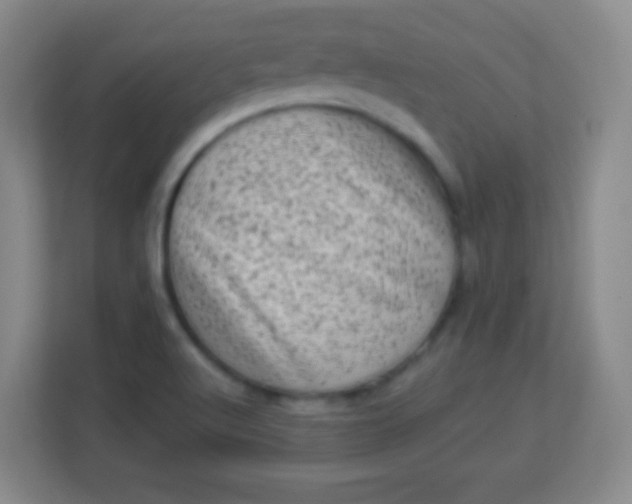 X0000113941512200910091612