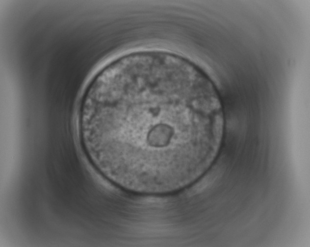 X0000113941514200910091612