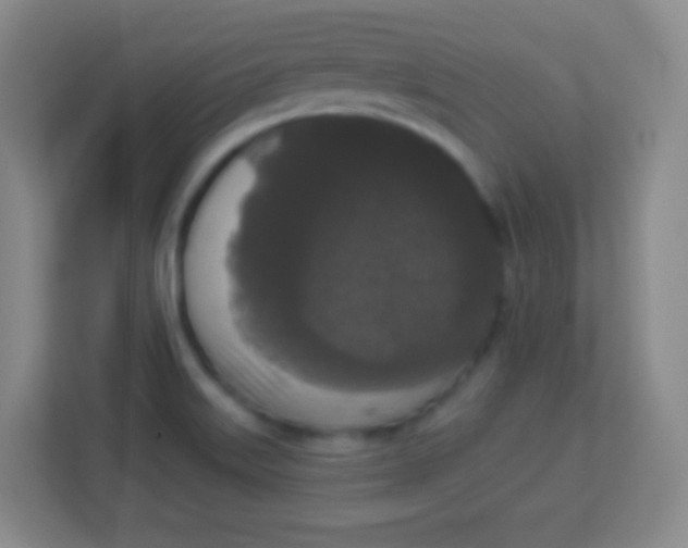 X0000113941515200910091612