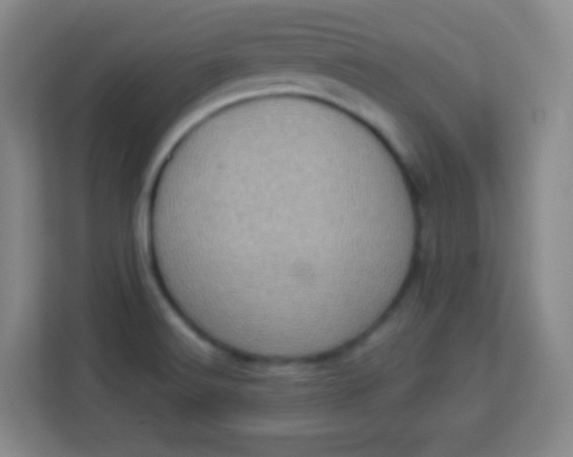 X0000113941516200910091612