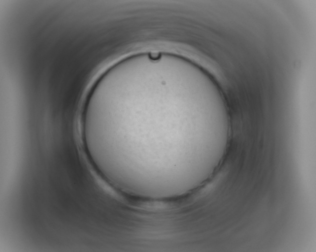 X0000113941517200910091612