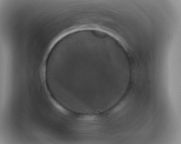 X0000113941519200910091612