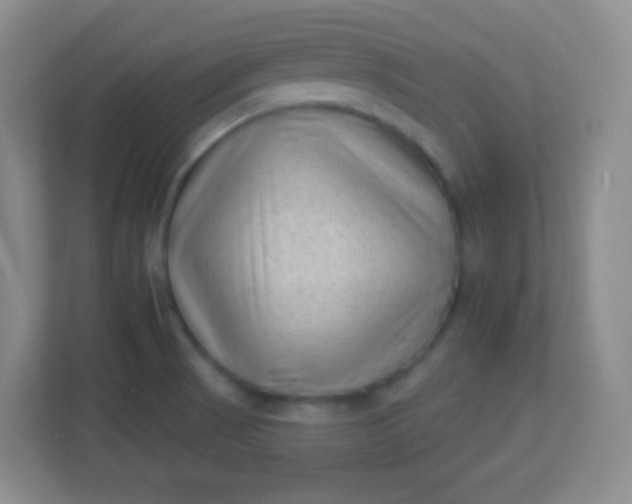 X0000113941521200910091612