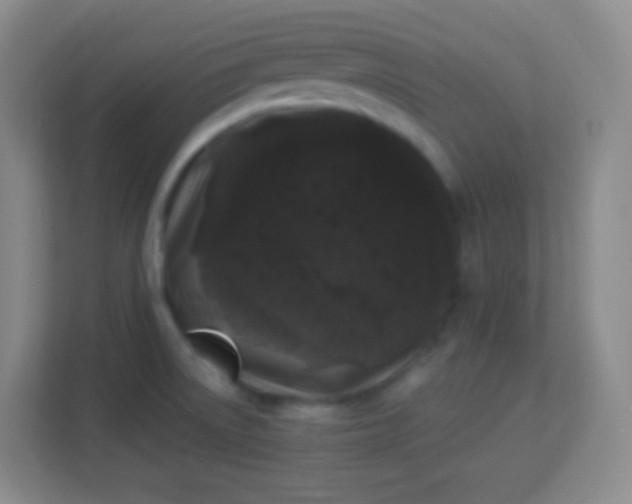 X0000113941522200910091612