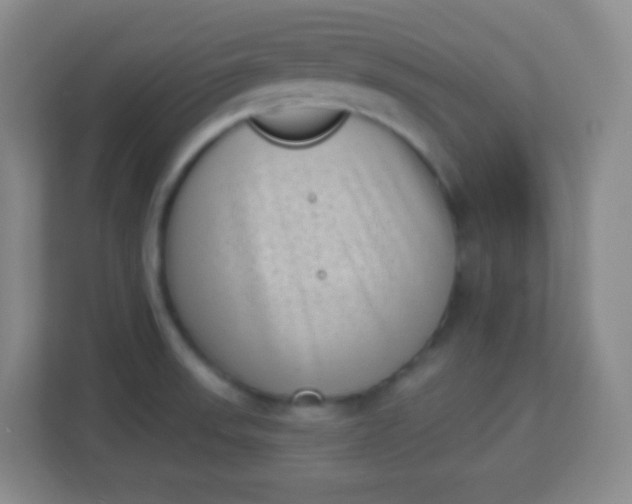 X0000113941523200910091612