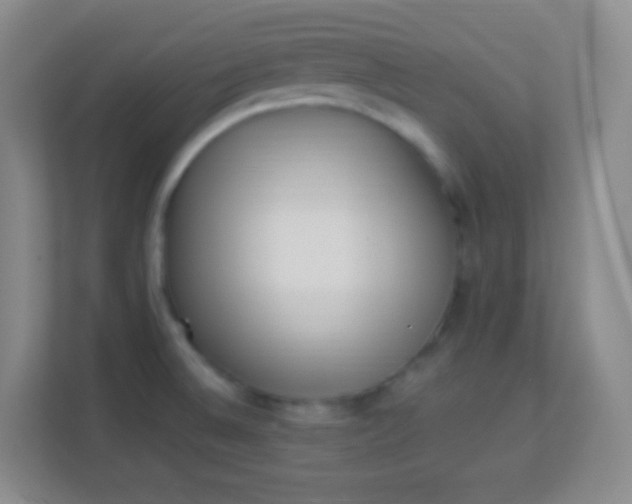 X0000113941524200910091612