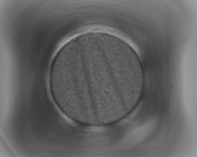 X0000113941525200910091612