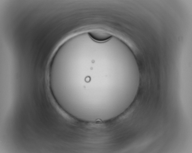 X0000113941526200910091612