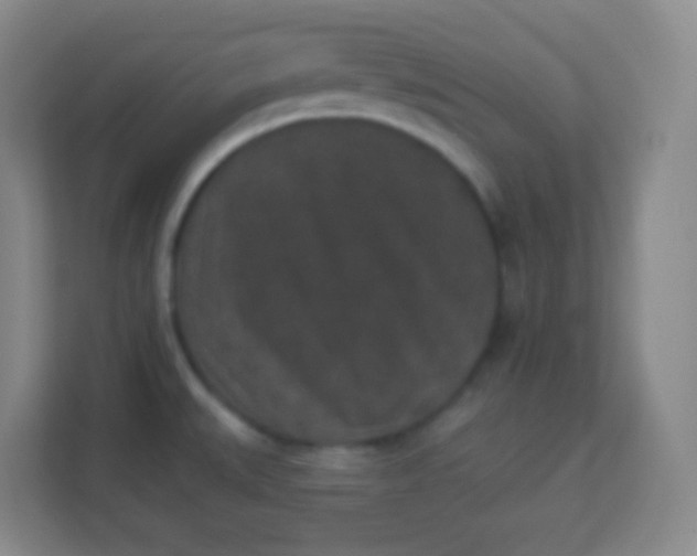 X0000113941527200910091612