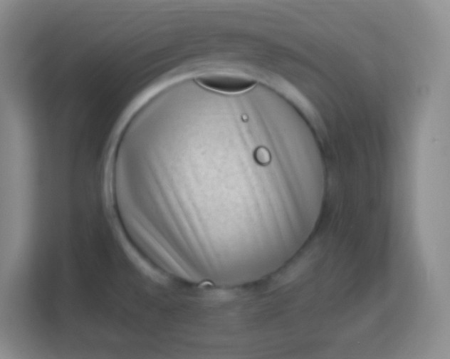 X0000113941528200910091612