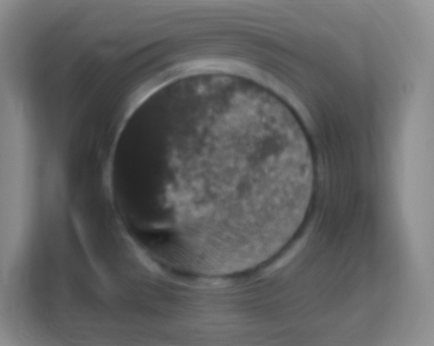 X0000113941529200910091612