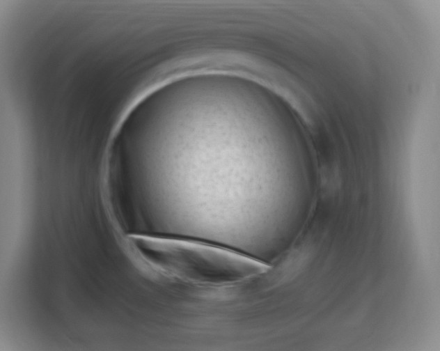 X0000113941530200910091612