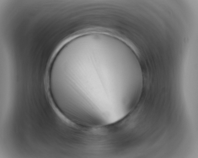 X0000113941531200910091612