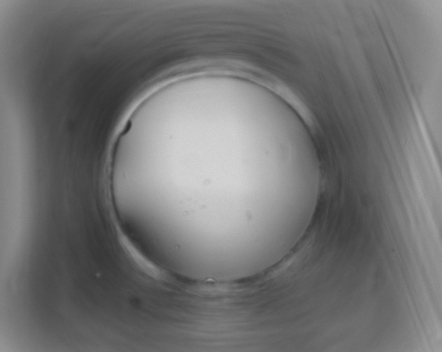 X0000113941532200910091612