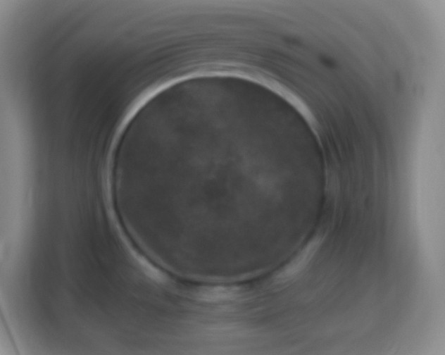 X0000113941533200910091612