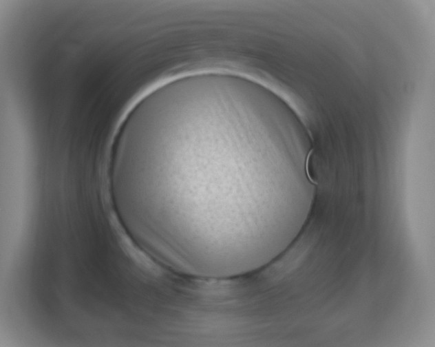 X0000113941534200910091612