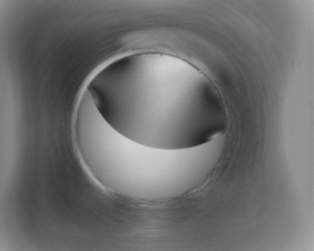 X0000113941536200910091613