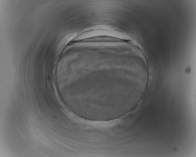 X0000113940001200910161926