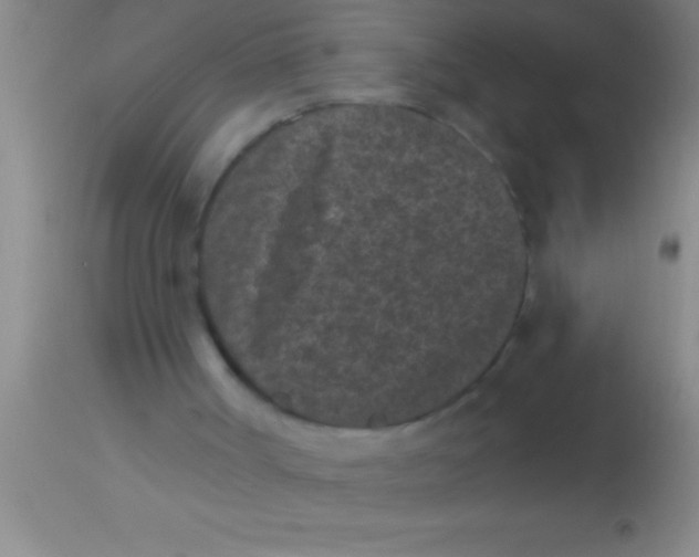 X0000113940002200910161926