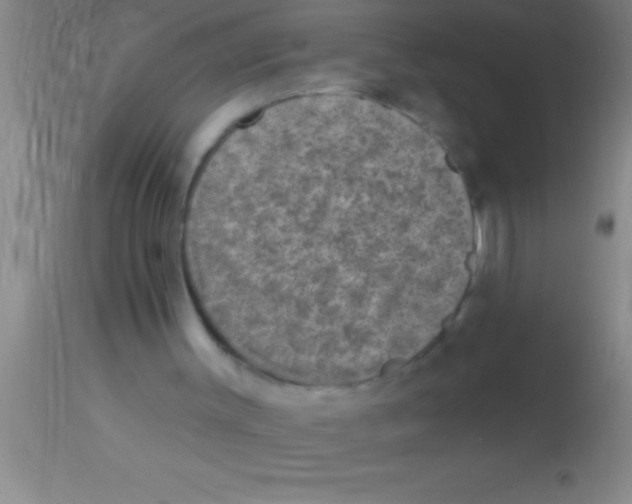 X0000113940003200910161926